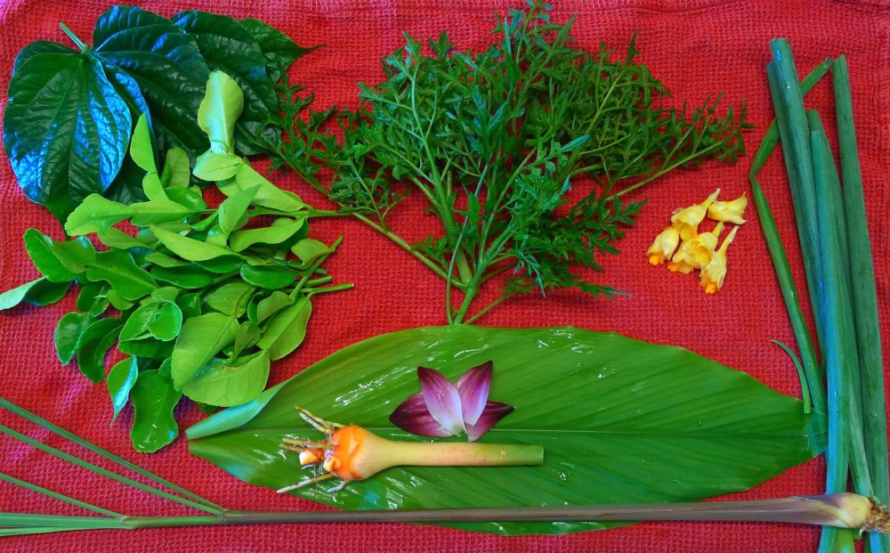 King's salad aka vua rau xà lách. Clockwise from top left: lá lốt aka chaplu; Cosmos caudatus; hành lá aka spring onion; sả chanh aka lemongrass; nghệ aka turmeric; chanh Thái aka kaffir lime. Turmeric flowers (left of onions)
