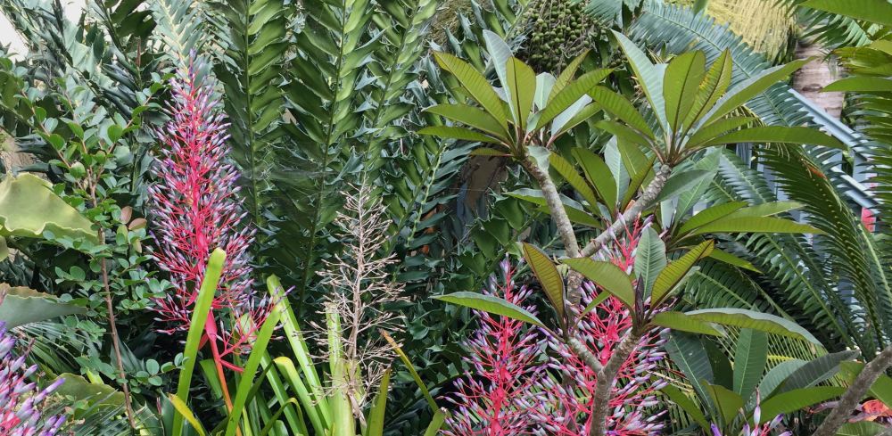 Climate change ready border