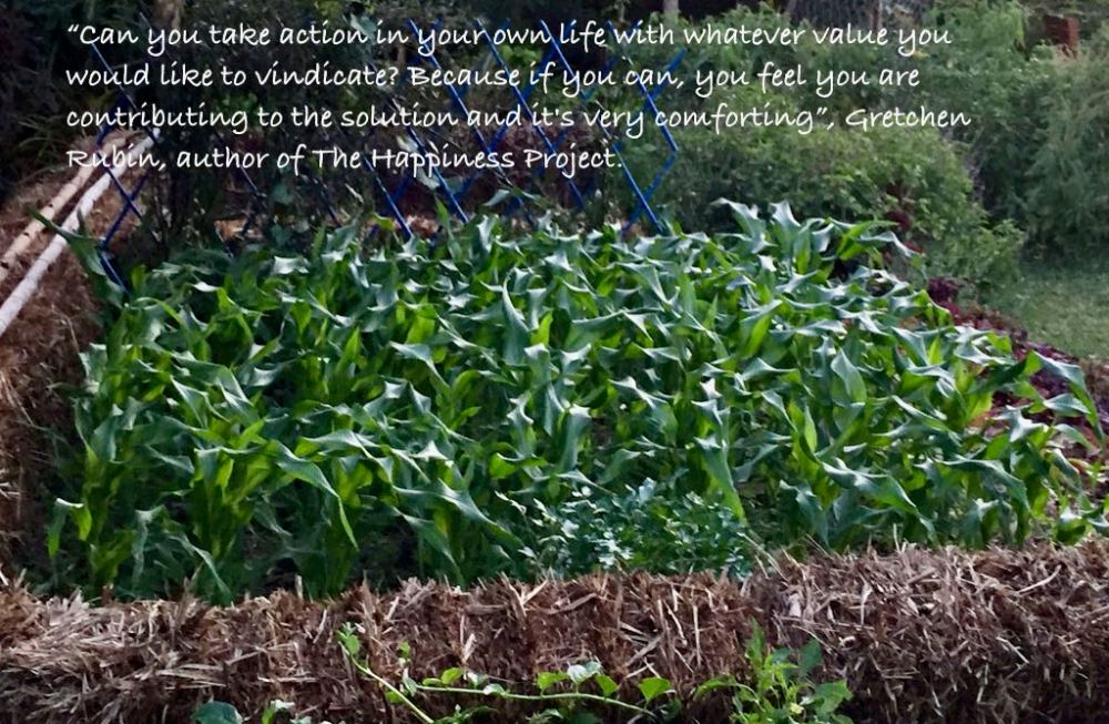 action in your life/ if you are contributing it is valuable/ action is the antidote to anxiety 2