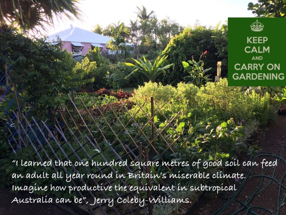 Bellis food security