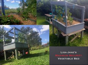 Lisa-Jane Stockwell/ Maximum Security vegetable bed - 4