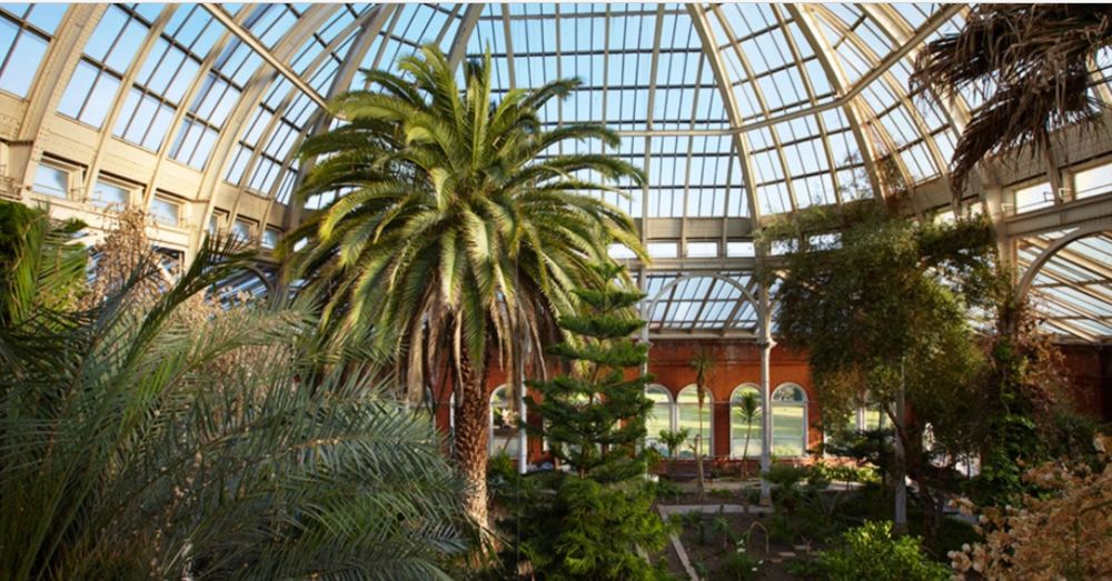 Avery Hill Winter Garden