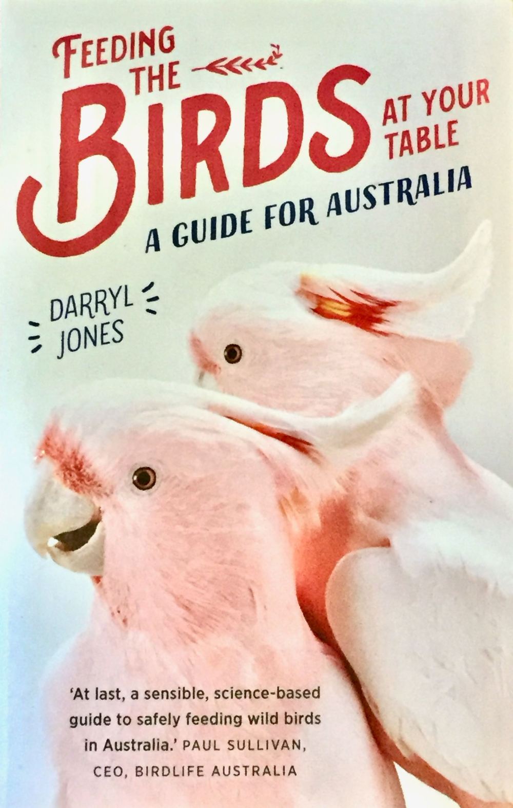 Feeding the Birds by Prof Darryl Jones