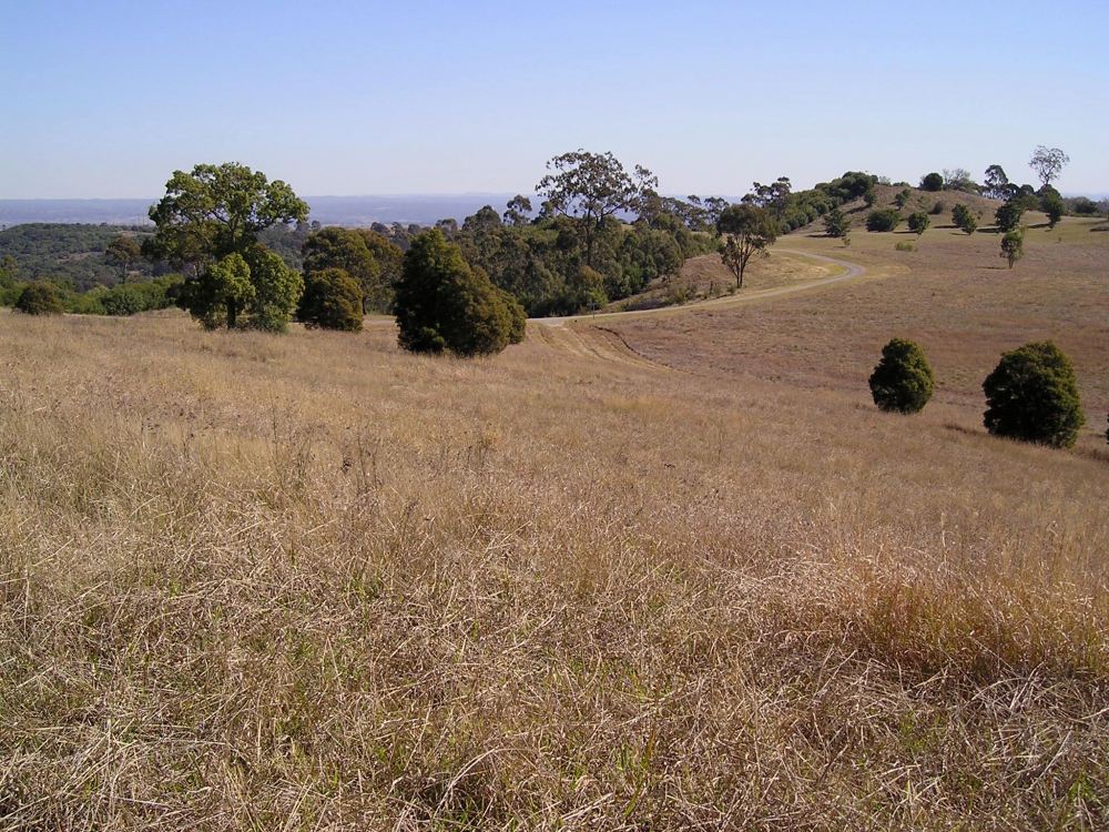 Mt Annan botanic garden 1