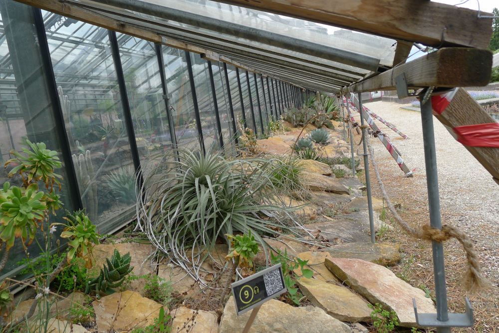 winter garden geneva