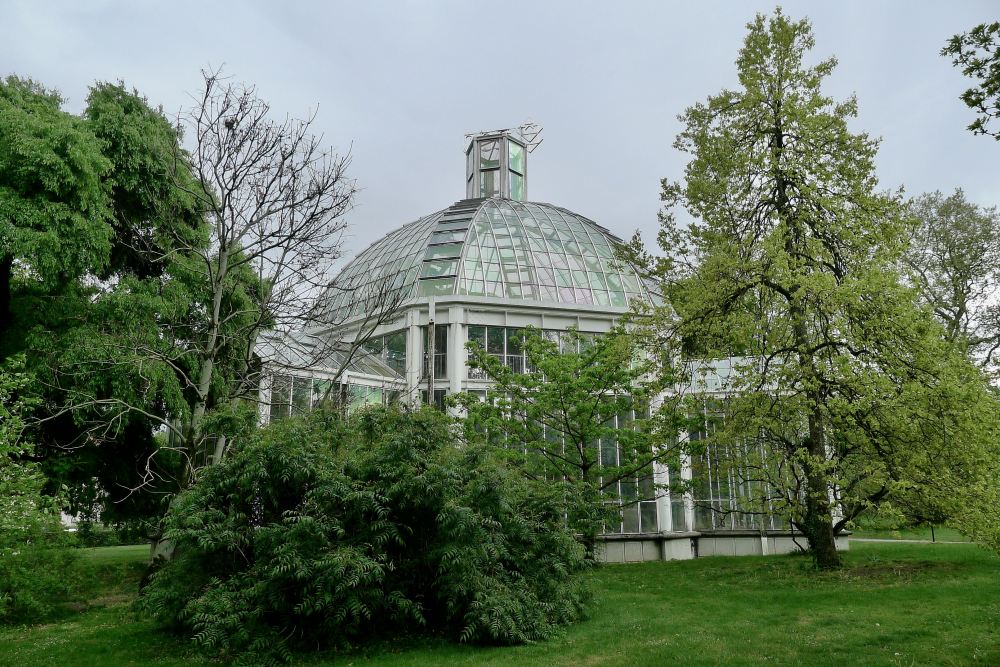 Winter garden, Geneva - 3