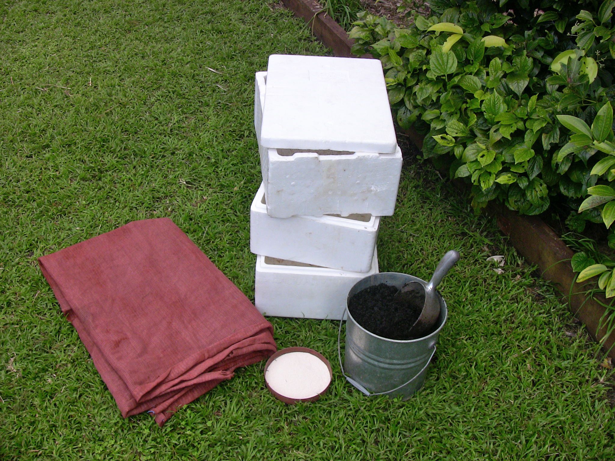FAQ Can I Grow Plants In Polystyrene (Styrofoam) Boxes? Someone Told