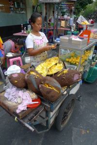 jackfruit, Artocarpus heterophyllus