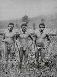 Vanuatu/ Pacific islander indentured labour QLD - 1