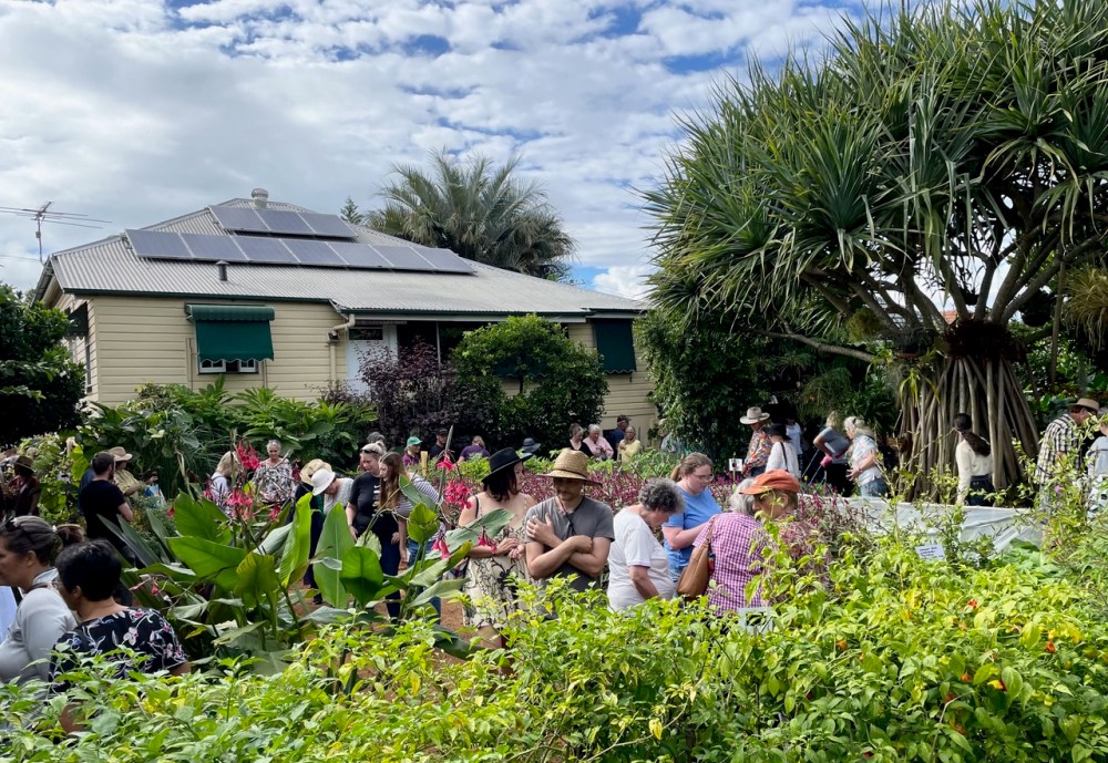 Picture is of the house and back garden with a dozen or more people visiting Bellis during the annual open day.